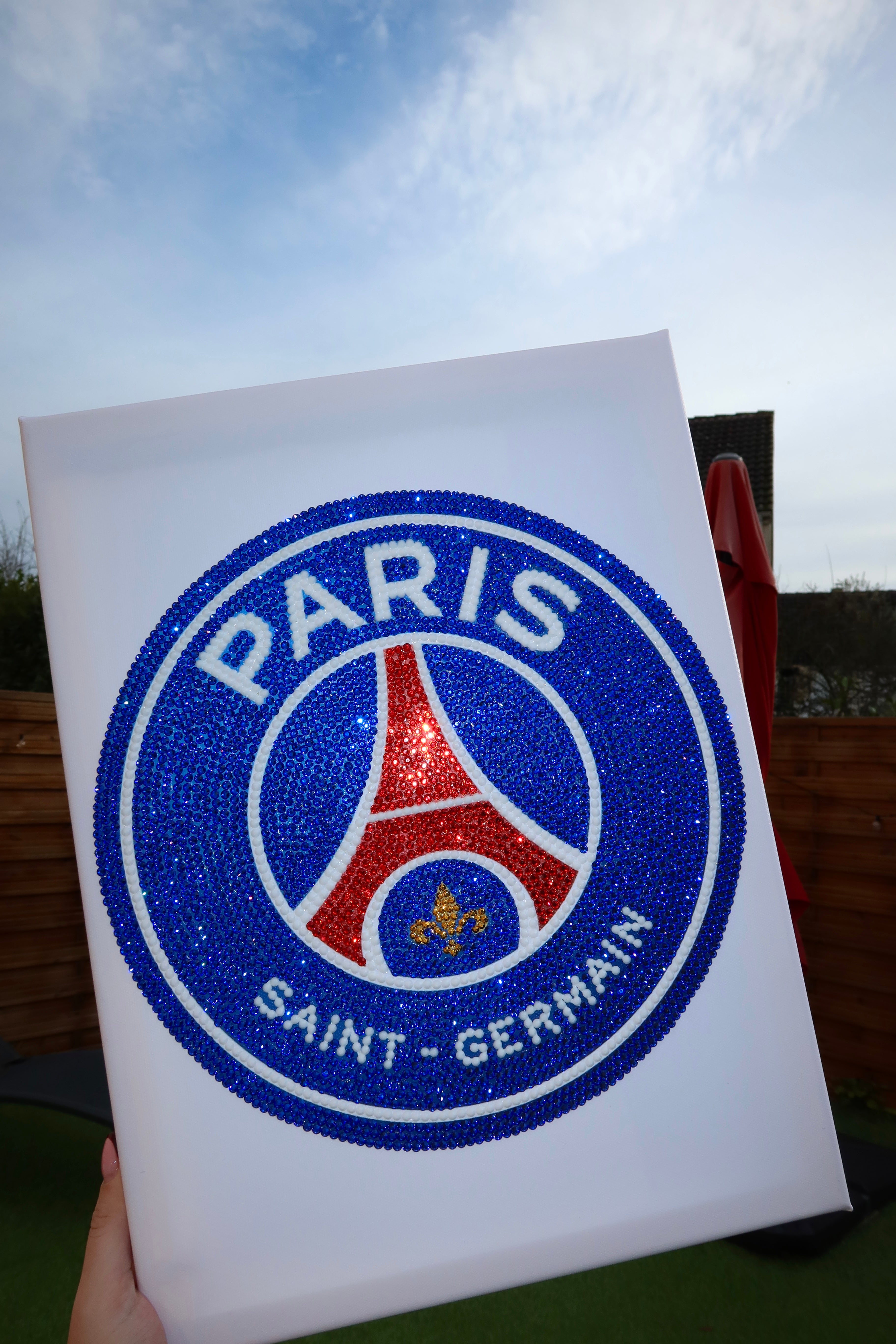 Toile finie PSG