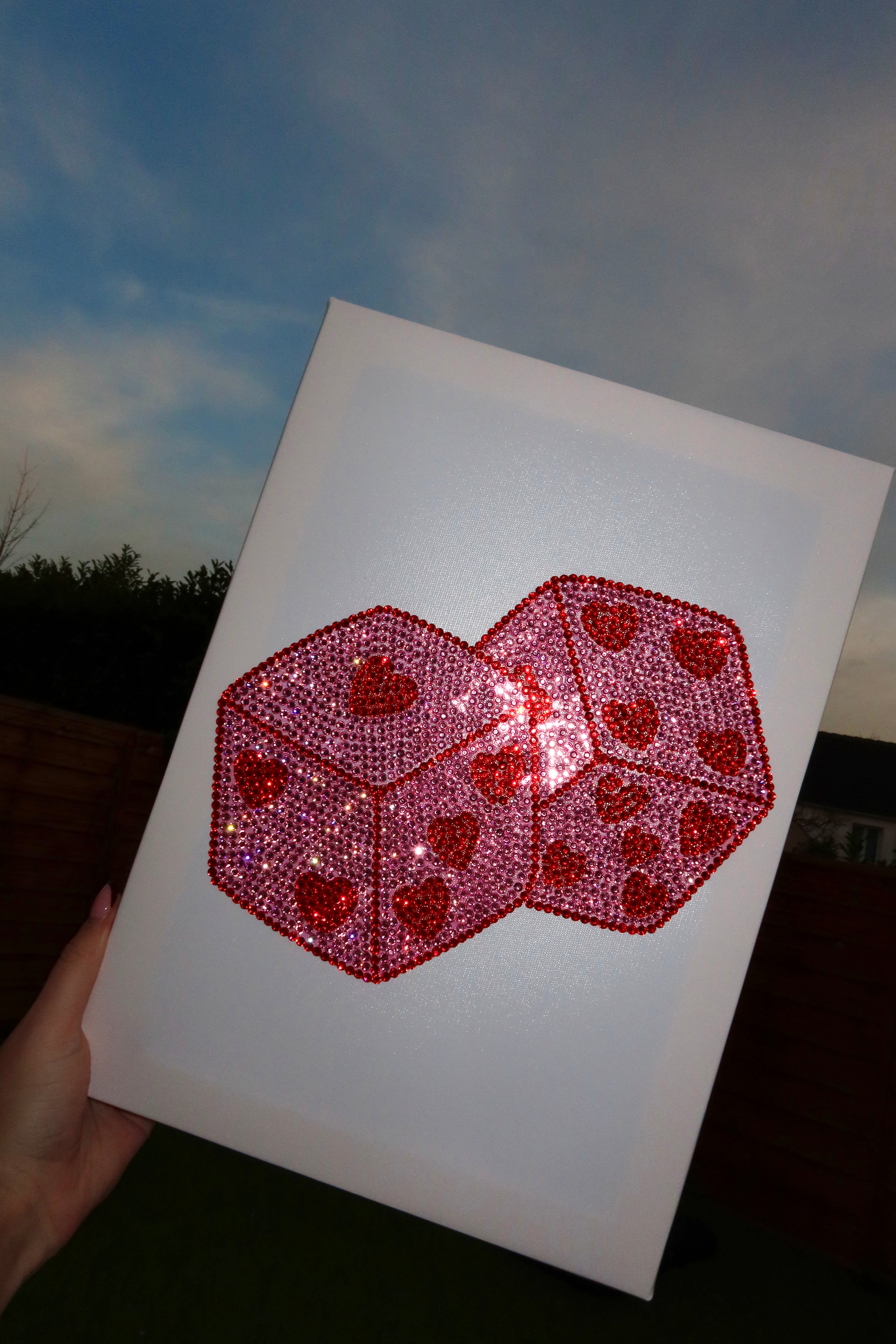 KIT DIY DÉS ROSES